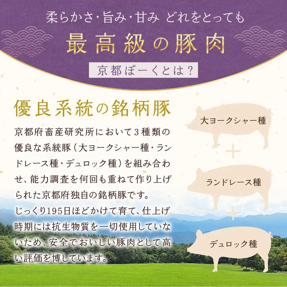 ウインナー 13種食べ比べ 自然派ウインナー 京都特産ぽーく