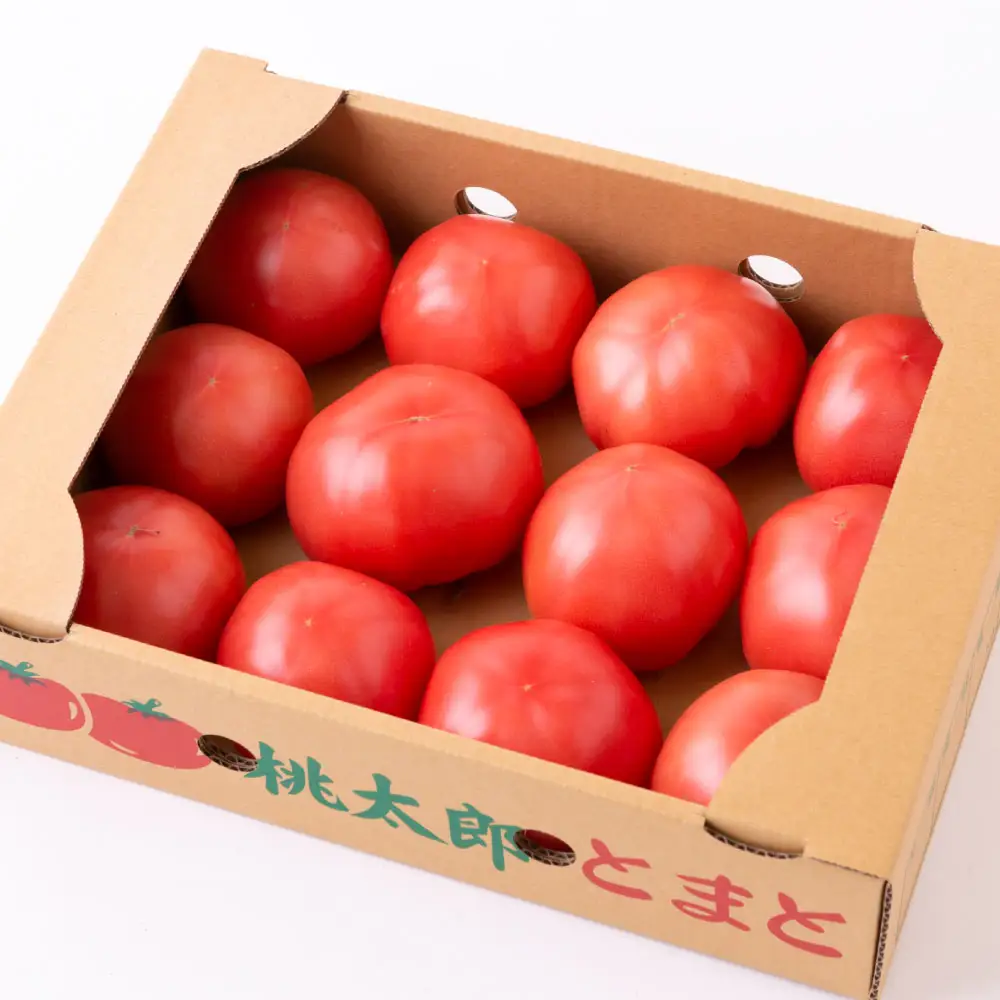 【ふるさと納税】 道の駅うきは 桃太郎トマト 12玉前後 (約2kg) 【2026年11月上旬から2027年5月上旬 出荷予定】 トマト とまと ももたろうトマト 大玉トマト 野菜 ベジタブル 新鮮 フレッシュ お取り寄せ 福岡県 うきは市