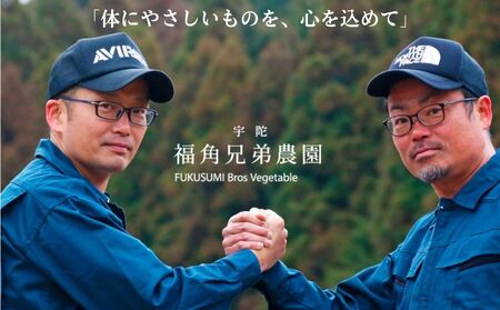 紫菊芋パウダー【150g×2袋（約2ヶ月分）】／ふるさと納税 菊芋 粉末 パウダー 紫 薬草 腸活 水溶性食物繊維 イヌリン 朝食前 水 コーヒー ヨーグルト 奈良県 宇陀市 福角兄弟農園 