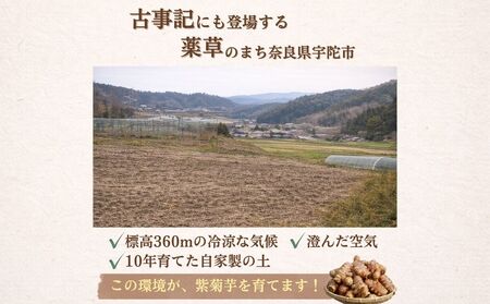 紫菊芋パウダー【150g×3袋（約3ヶ月分）】／ふるさと納税 福角兄弟農園 菊芋粉末 イヌリン豊富 食物繊維 健康習慣 無添加 血糖値対策 腸活 腸内環境 農家直送