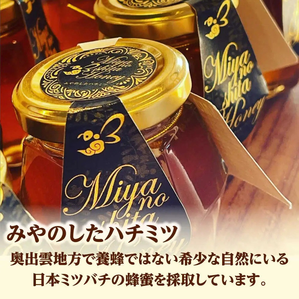 蜂蜜 天然日本ミツバチの「はちみつ」 400ml×1個 [AICL002]