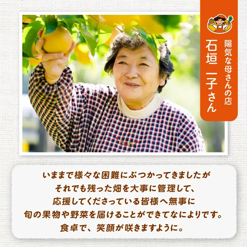 【令和7年産】【白米】あきたこまち5kg（5×1袋）　45P009003【陽気な母さんの店 】