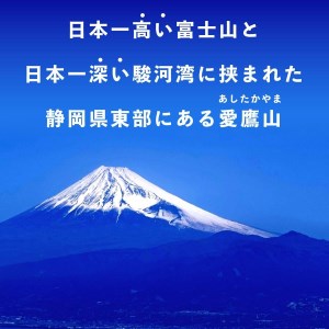 茶葉 煎茶 100g 2缶セット上級煎茶 お茶 静岡 緑茶 お中元 贈答用 ギフト用