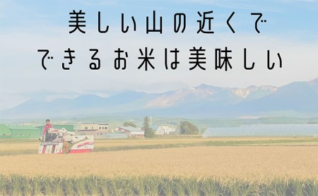 ◆2ヵ月に1回お届け/計3回定期便◆ゆめぴりか 無洗米 5kg /北海道 上富良野産 ～It's Our Rice～ お米 白米 ライス ご飯 ブランド米 銘柄米 お弁当 おにぎり 北海道産 食卓 産地直送 主食 炭水化物 