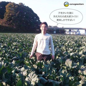 【限定40】皮までうまか！糸島産ハウス栽培こたろうスイカ[AIC002]