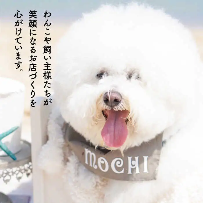 【糸島特産品使用】 無添加 そのまま 鯛さん 3袋  糸島市 / 株式会社コバヤシ【coco.kina】 犬 おやつ ドッグフード [ASL002]
