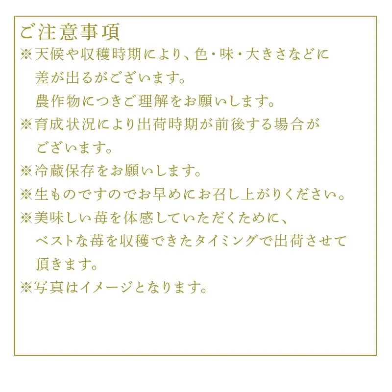 『先行予約』【令和9年3月より順次発送】唐津産 いちごさん 約250g×8パック(合計約2kg)