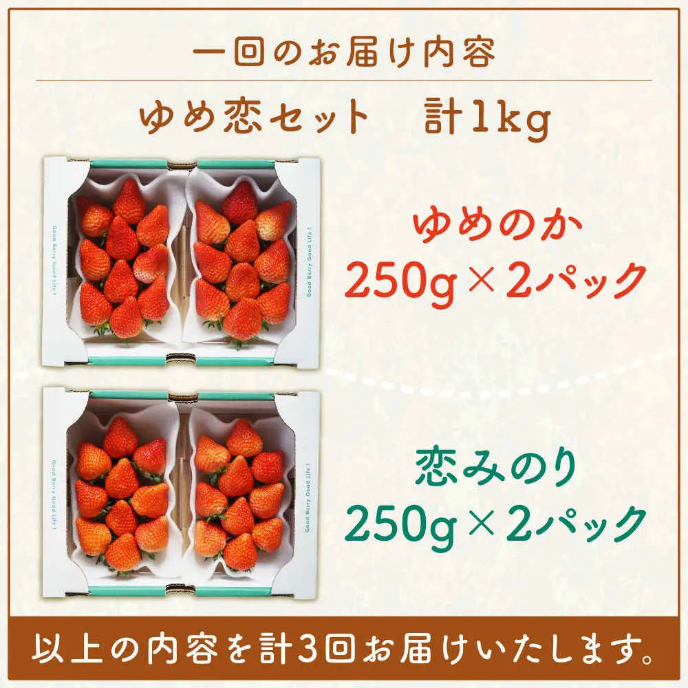 【全3回定期便】【先行予約】いちご イチゴ 苺 ゆめのか 恋みのり 計 1kg「ゆめ恋セット」 （250g × 4パック）【2027年2月以降順次発送】《壱岐市》【蒼花】 [JEO003] 45000 45000円