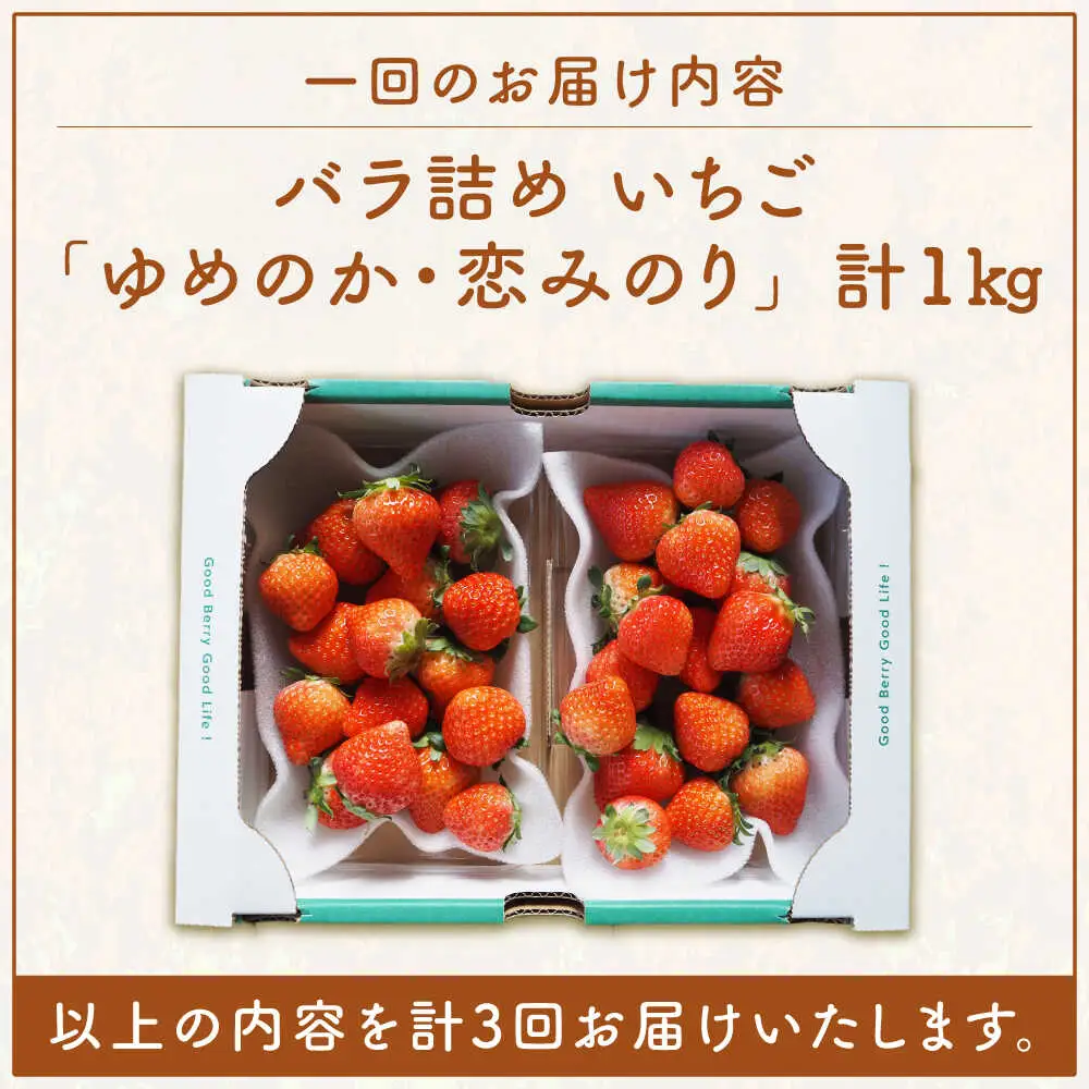 【全3回定期便】 【先行予約】いちご 1kg (ゆめのか/恋みのり) [JEO004]【2027年2月以降順次発送】