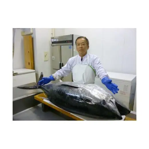 本マグロ【3回定期便】長崎県産 本まぐろ 3種セット  ( 大トロ 中トロ 赤身 ) 総計800g以上【本家永松屋】