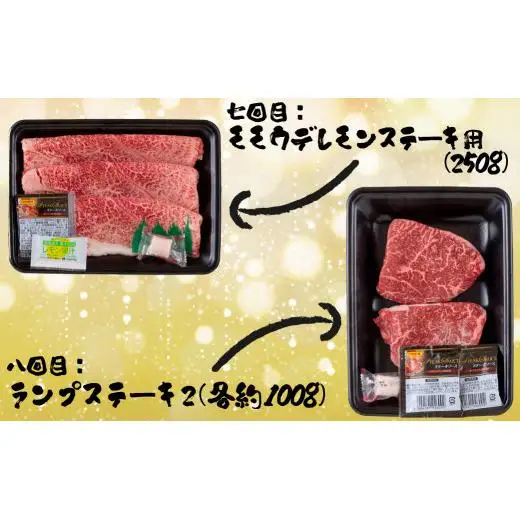 《定期便》長崎和牛おまかせお届け便ミニ(12回)