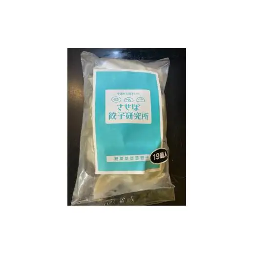 〈させぼ餃子研究所〉させぼ餃子ヘルシーセット