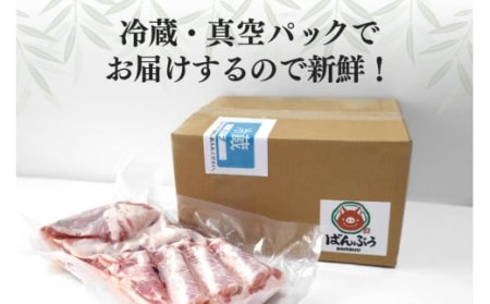ブランド豚「ばんぶぅ」豚バラブロック1本 ばんぶぅ 豚肉 豚バラ肉 ブロック肉 しゃぶしゃぶ 焼き肉 豚バラ 真空パック しゃぶしゃぶ肉 焼肉用 ブタ肉 国産 茨城県産 ギフト プレゼント 冷蔵 高級部位 ブランド豚 42-D