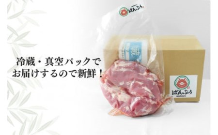 ブランド豚「ばんぶぅ」ヒレブロック1本（400g以上）ばんぶぅ 豚肉 ヒレ ヒレ肉 ヒレブロック ブロック肉 ひれ肉 豚ヒレ ひれ しゃぶしゃぶ 焼き肉 真空パック 焼肉用 ブタ肉 国産 茨城県産 ギフト プレゼント 冷蔵 高級部位 ブランド豚 42-I