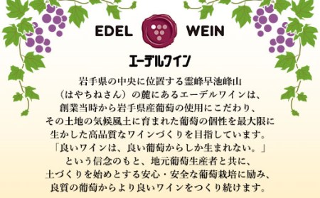 リースリング・リオン冷凍果汁仕込　箔押しギフトBOX入り （375ml×1本） 【1384】