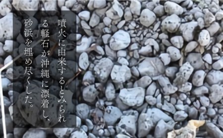 【美濃焼】magma cup WHITE  ＋ オリジナル magma pot 作製体験【芳泉窯】植木鉢 陶器鉢 おしゃれ bowl サボテン 頑丈 塊根植物 多肉植物 作陶 手びねり 作成 体験 白 ホワイト 送料無料[MBQ024]