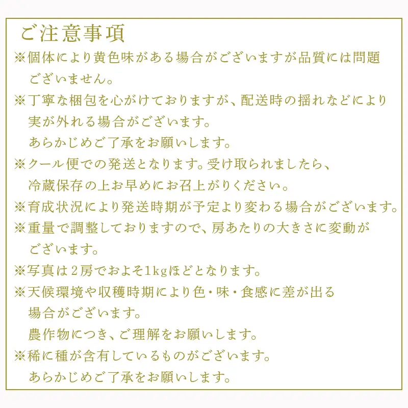 『先行予約』【令和8年9月上旬より順次発送】シャインマスカット500g 1房