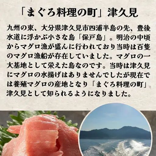 ねぎとろ ざんまい 80g×8P | ねぎとろ 津久見市