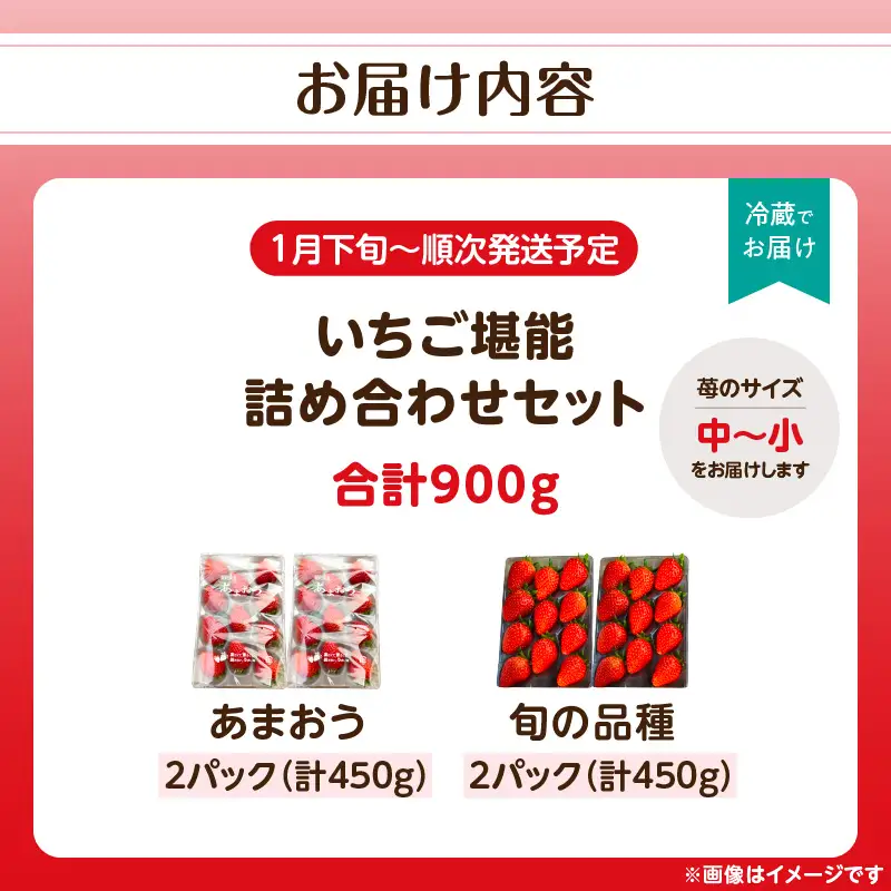 いちご堪能詰め合わせセット「あまおう450g」＋「旬の品種450g」（合計900g）｜2027年1月下旬～順次発送＜ひらい観光農園＞ あまおう いちご 苺 イチゴ フルーツ 果物 くだもの 人気 旬 福岡県産 食べ比べ 採れたて セット 冷蔵配送 数量限定 期間限定 産地直送 福岡県 八女市 065-002