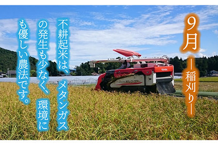 先行予約【令和8年産】玄米「廿ノ極」（4.5kg） [TCI001] 玄米