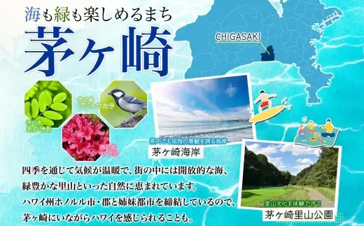 バウムクーヘン なみのりバウム ミニ 食べきり バウムクーヘン【10個】