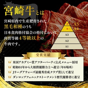 宮崎牛 カルビ焼肉500g N0140-YA5535