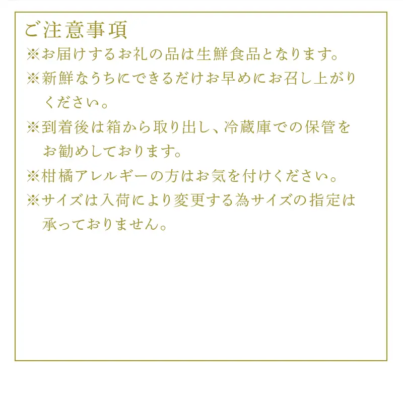『先行予約』【令和9年1月下旬発送予定】唐津産 はまさき 3kg