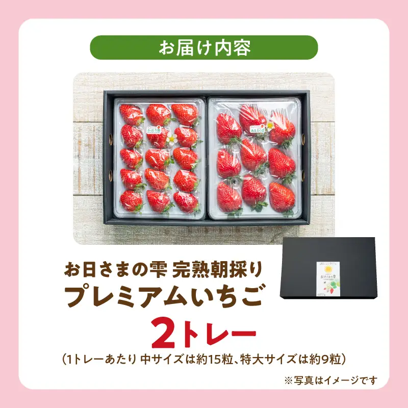 【先行予約】お日さまの雫 完熟朝穫りプレミアムいちご　２トレー AM-0002