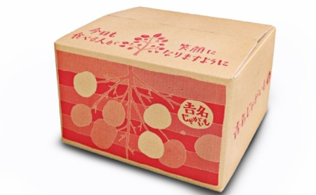 吉名の「まるきっちゃん」じゃがいも 10kg＋400g（傷み補償分）【12月～6月申込】7月発送 ｜ 野菜 根菜 国産 日本産 広島県産 食材 料理 調理 大容量 じゃがバター いももち カレー 煮物 おでん マッシュポテト　※2024年7月中旬頃に順次発送予定