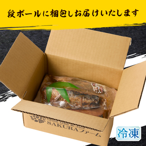 焼津！大葉 にんにく かつお たたき 5本 セット (a10-870)