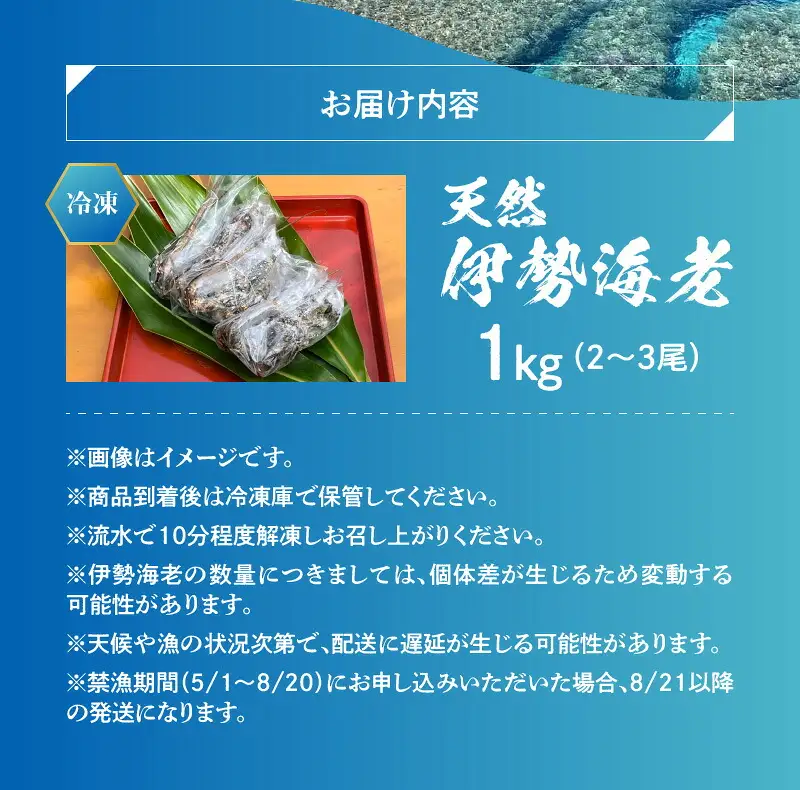 エメラルドブルーの美しい海で獲れた天然伊勢海老1㎏（2～3尾）！ W057-002u 冷凍 海鮮 エビ