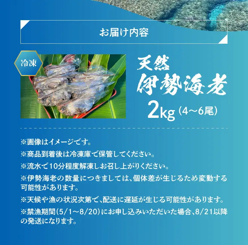 エメラルドブルーの美しい海で獲れた天然伊勢海老2㎏（4～6尾）！ W057-003u 冷凍 海鮮 エビ
