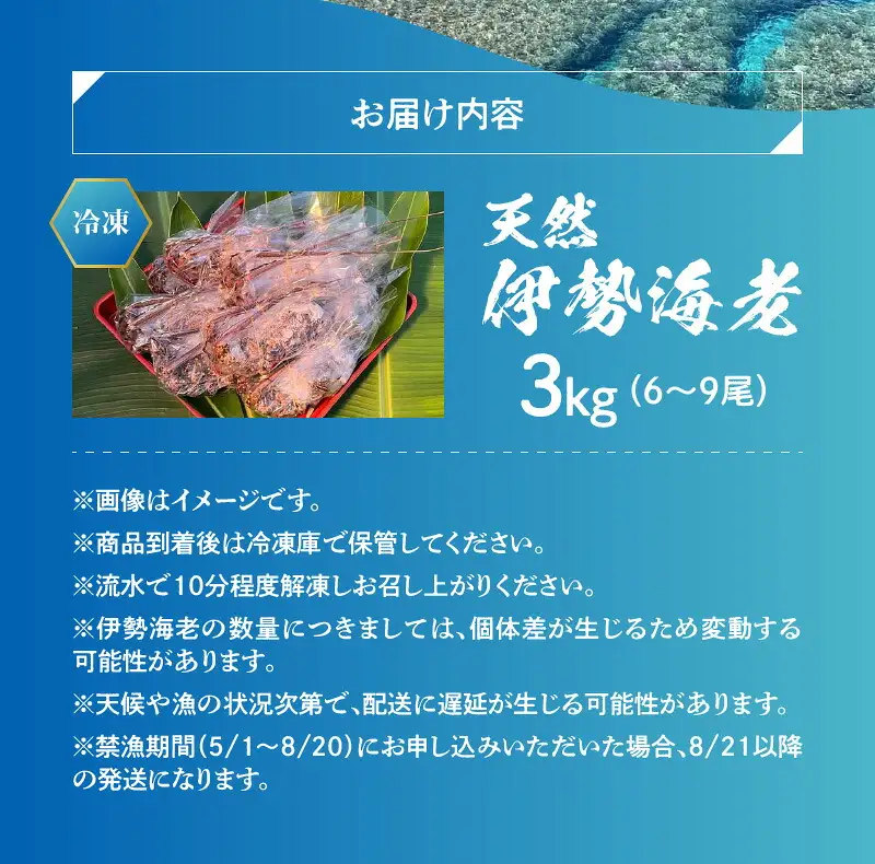 エメラルドブルーの美しい海で獲れた天然伊勢海老3㎏（6～9尾）！ W057-004u 冷凍 海鮮 エビ