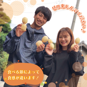 【先行予約】【2026年9月より順次発送開始】レンコン　約2kg｜茨城県 行方市 ふるさと納税 蓮根 レンコン 野菜 やさい(EG-2)