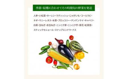 野菜セット（7‐9種類） 《3カ月定期便》 
