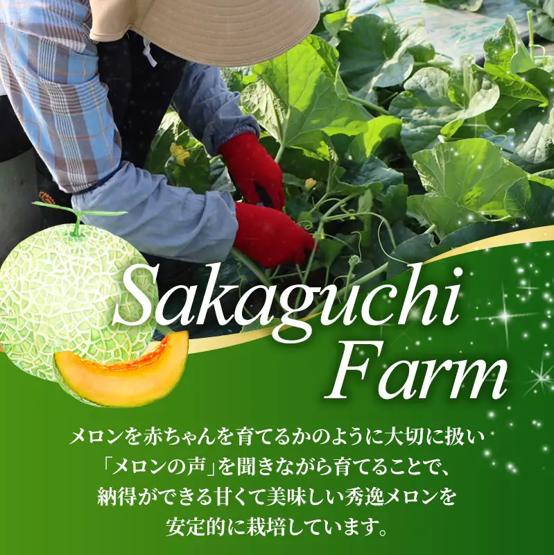 【2026年夏発送】富良野メロン 山部の絶品『鳳凰』2L 3玉 計5.4kg以上 メロン 赤肉 大玉 北海道