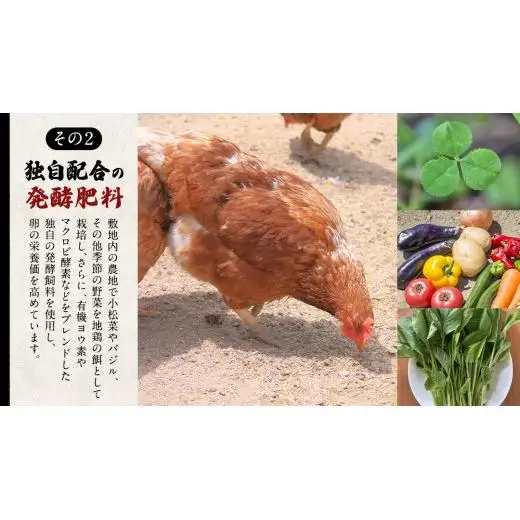 王様の卵 ヨード入 60個 (55個+割れ保障5個 )