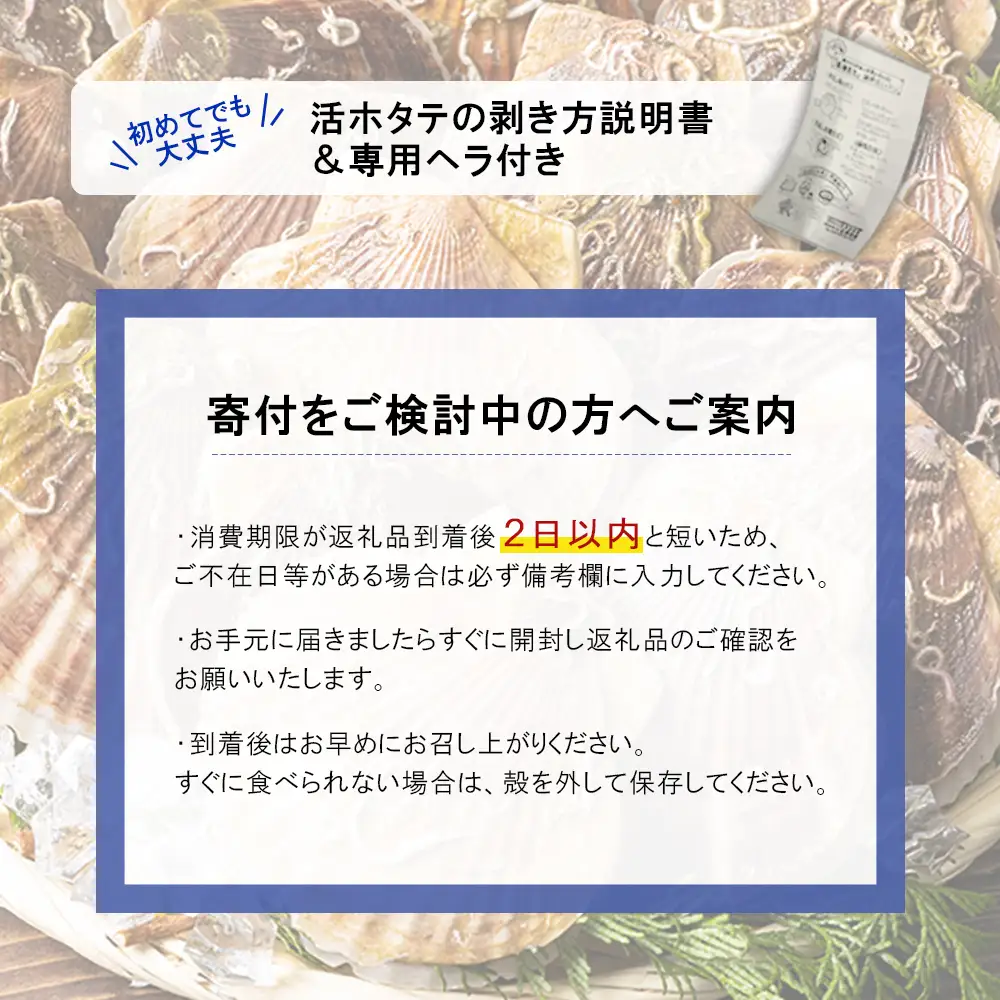 【先行予約】北海道 羽幌町産 殻付き活ホタテ 約3kg（15～20枚・ヘラ付き）【0910205】