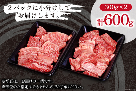 【牛肉】 牛肉 宮崎和牛 切り落とし 焼肉 600g