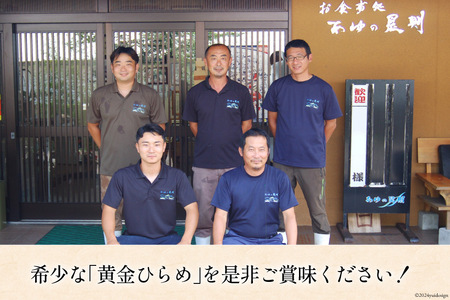 魚 黄金ひらめの活きジメ 1尾
