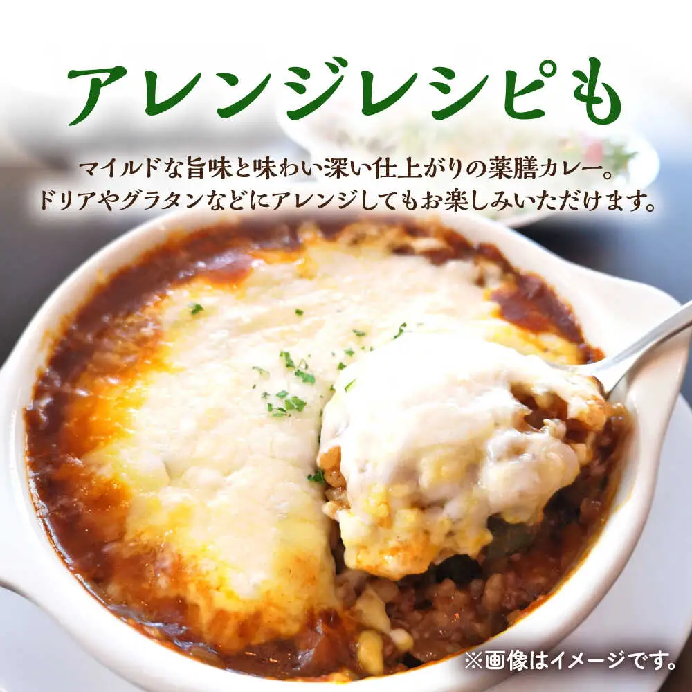 薬膳スパイス チキンカレー /自然庵 [UCQ001] カレー スパイスカレー