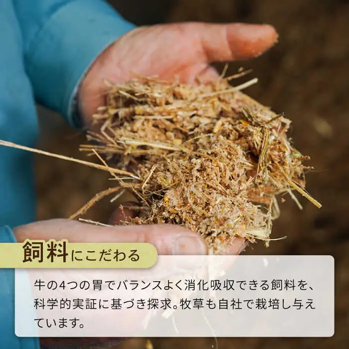 【6回定期便】長崎県産 和牛 切り落とし1kg / 南島原市 / 高田牧場 [SDB006]