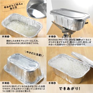 アウトドア専用 「あおぞらごはん」 120g×4パック 【ご飯 お米 コシヒカリ 白米 無洗米 栃木県産 さくら市産 コメ アウトドアクッカー メスティン ソロキャンプ アウトドア 料理 手軽 簡単 便利 軽量】 ※着日指定不可 ※北海道・沖縄・離島への配送不可◇