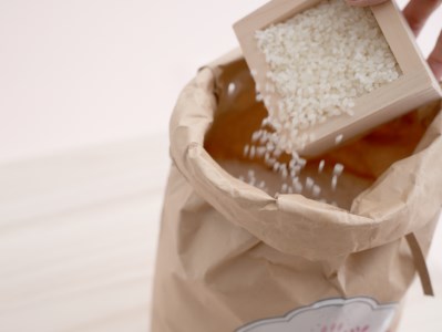 栃木県コシヒカリ 「桜花爛漫」 精米 5kg 【ご飯 お米 コメ コシヒカリ 白米 栃木県産 さくら市産】 ※北海道・沖縄・離島への配送不可 ※着日指定不可◇