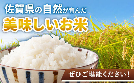 【もっちりとした粘りと甘さ】 さがびより 10kg /愛まんてん [UBD003] 米 こめ コメ お米