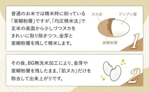 金芽米 10kg  宮城県産金芽米