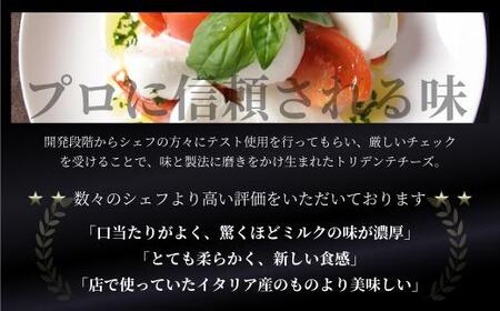 飛騨生乳100％ モッツァレラチーズ 2個（各125g）| チーズトリデンテ LF001