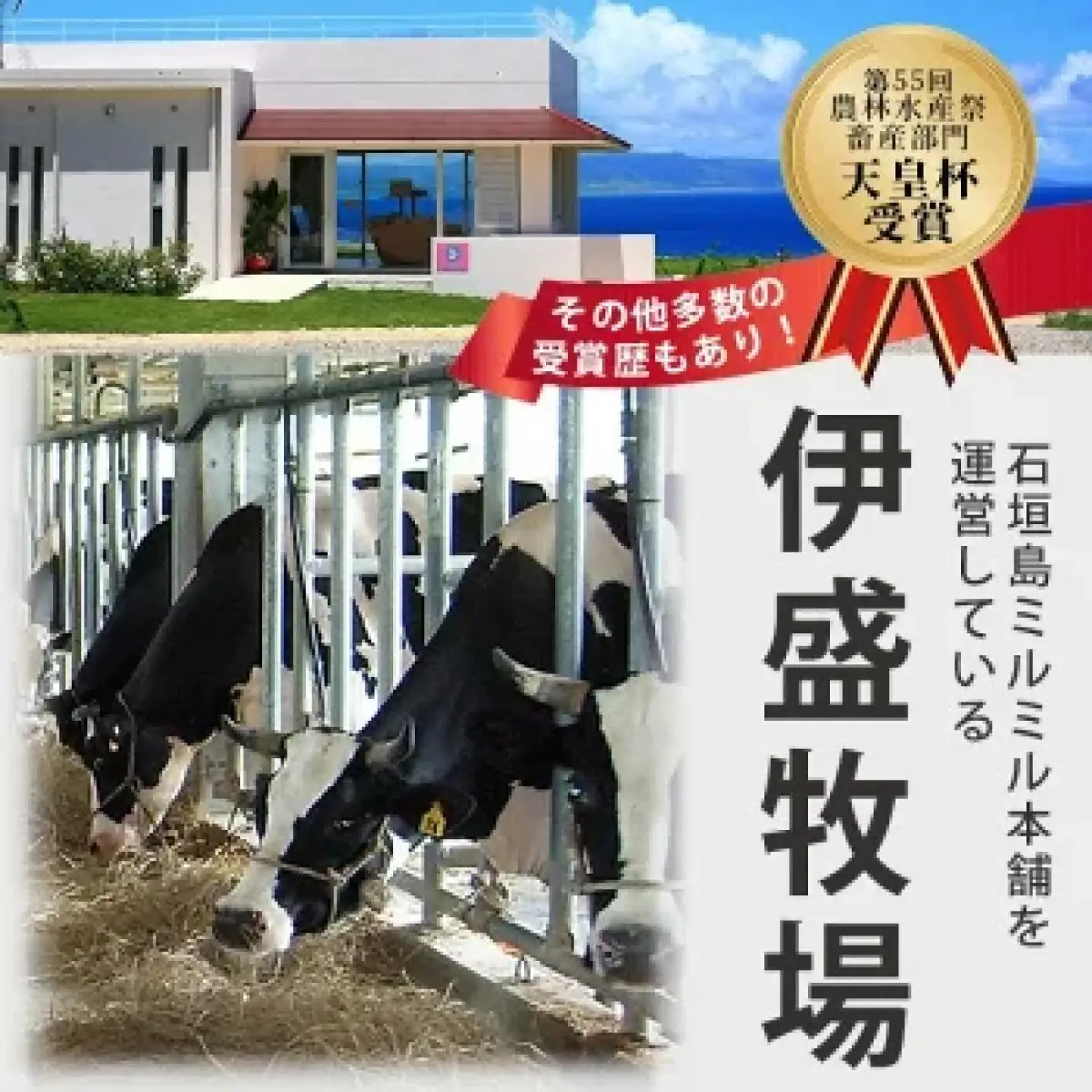 石垣島ミルミル本舗　ミルミル人気ジェラートセット（132ml×12個）