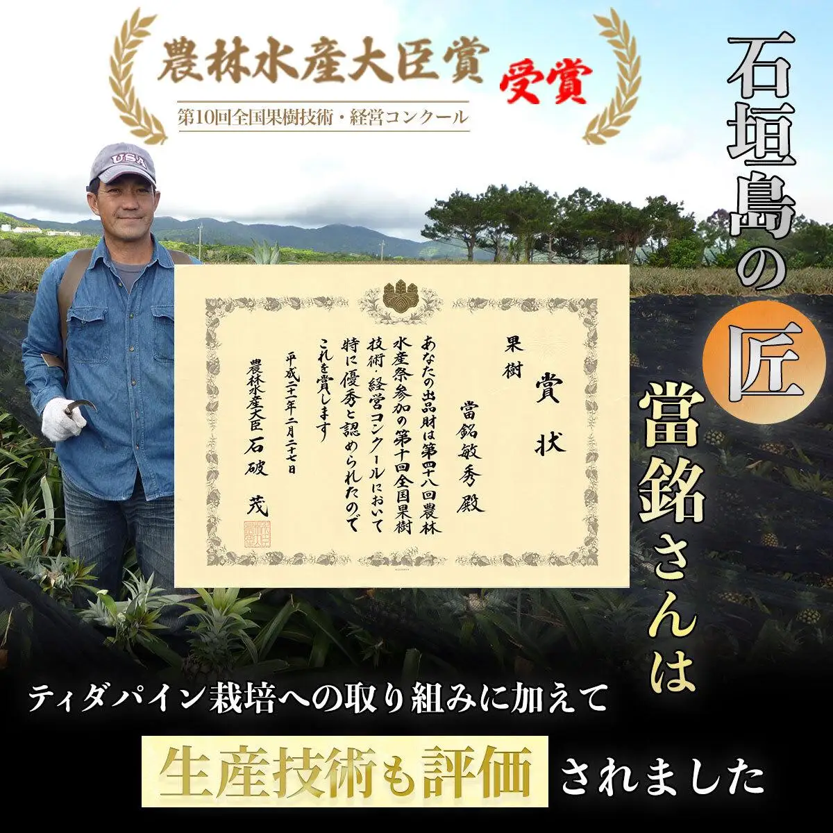 パイナップル 當銘さんの完熟カットパイン 1.25kg (250g×5袋)