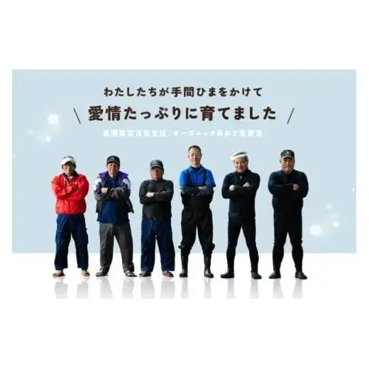 宮古島の環境だから実現できた『オーガニックあおさ』3袋セット（GF001）